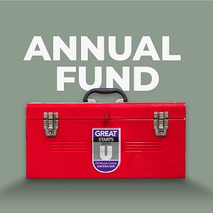 Annual Fund Graphic